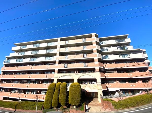 �_�ސ쌧���l�s�s�}��r�Ӓ��̒��Ã}���V�����̌��n�O�ώʐ^