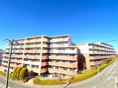 �_�ސ쌧���l�s�s�}��r�Ӓ��̒��Ã}���V�����̂��̑����n