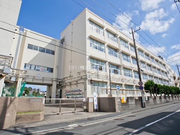 �_�ސ쌧���l�s�`�k��哤�˒��̒��Ã}���V�����̎��ӊ�
