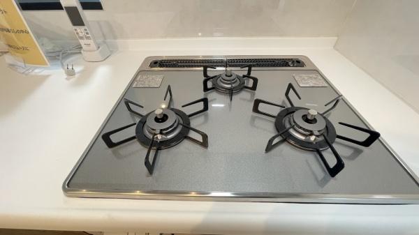 �_�ސ쌧���l�s����{�����̒��È�ˌ��ẴL�b�`��