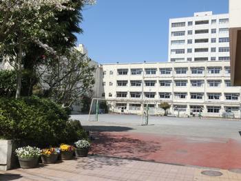�_�ސ쌧���l�s�_�ސ�攒�y�̒��Ã}���V�����̎��ӊ�