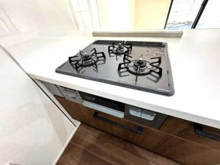 �_�ސ쌧���l�s��q�搙�c6���ڂ̐V�z��ˌ��ẴL�b�`��