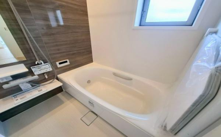 �_�ސ쌧���l�s�`�k��V�g�c���̐V�z��ˌ��Ă̗���