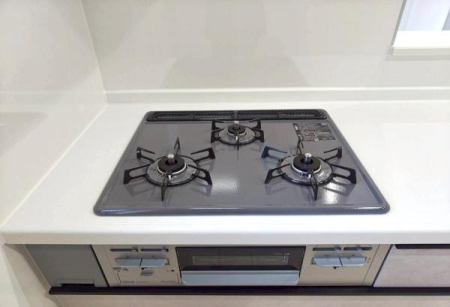 �_�ސ쌧���l�s�h��ѓ����̐V�z��ˌ��ẴL�b�`��