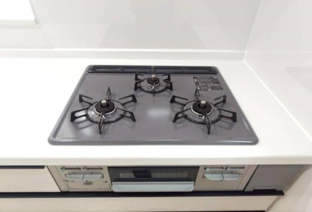 �_�ސ쌧���l�s�ߌ��抰�����̐V�z��ˌ��ẴL�b�`��