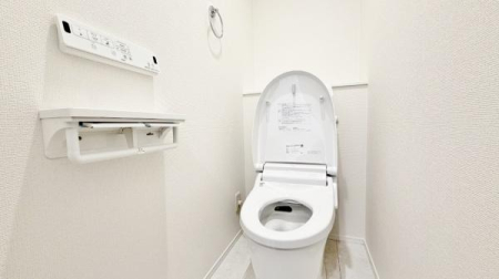 �_�ސ쌧���l�s�s�}���R�c���̐V�z��ˌ��Ẵg�C��