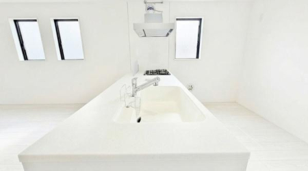 �_�ސ쌧���l�s�s�}���R�c���̐V�z��ˌ��ẴL�b�`��