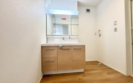 �_�ސ쌧���l�s�s�}���a���̐V�z��ˌ��Ă̐��ʑ�E���ʏ�