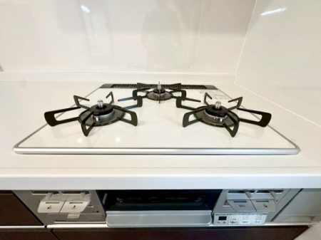 �_�ސ쌧���l�s��攒�S��3���ڂ̒��È�ˌ��ẴL�b�`��