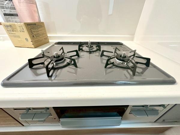 �_�ސ쌧���l�s���a�򒬂̐V�z��ˌ��ẴL�b�`��