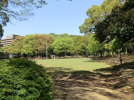 �_�ސ쌧���l�s�`���`���5���ڂ̒��Ã}���V�����̎��ӊ�