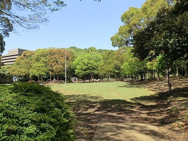 �_�ސ쌧���l�s�`���`���5���ڂ̒��Ã}���V�����̎��ӊ�