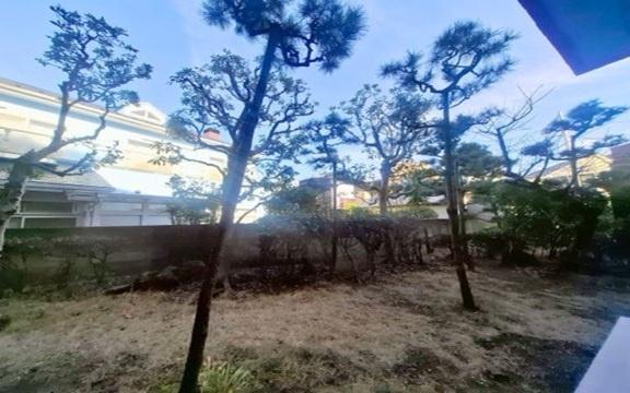 �_�ސ쌧���q�s�R��K�l4���ڂ̒��Ã}���V�����̒�