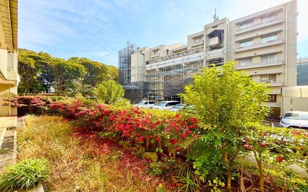 �_�ސ쌧���l�s�����Ē��̒��Ã}���V�����̒�