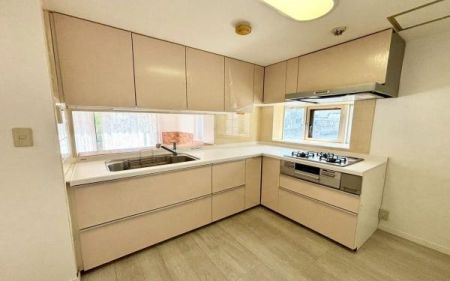 �_�ސ쌧���l�s�����Ē��̒��Ã}���V�����̃L�b�`��