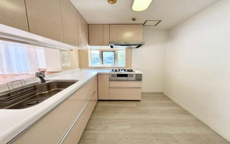 �_�ސ쌧���l�s�����Ē��̒��Ã}���V�����̃L�b�`��