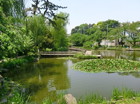 �_�ސ쌧���l�s�`�k�撇�茴2���ڂ̐V�z��ˌ��Ă̎��ӊ�