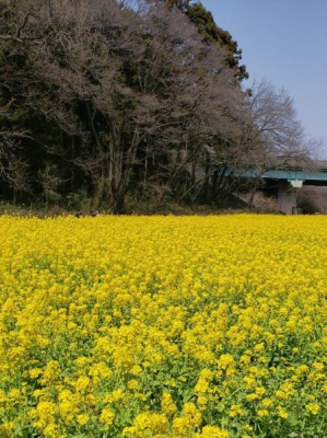 �_�ސ쌧���l�s��������2���ڂ̒��È�ˌ��Ă̎��ӊ�