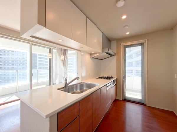 �_�ސ쌧���l�s�_�ސ�拴�{��2���ڂ̒��Ã}���V�����̃L�b�`��