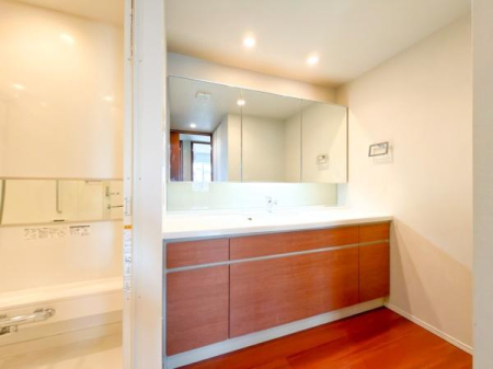 �_�ސ쌧���l�s�_�ސ�拴�{��2���ڂ̒��Ã}���V�����̐��ʑ�E���ʏ�