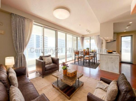 �_�ސ쌧���l�s�_�ސ�拴�{��2���ڂ̒��Ã}���V�����̃��r���O