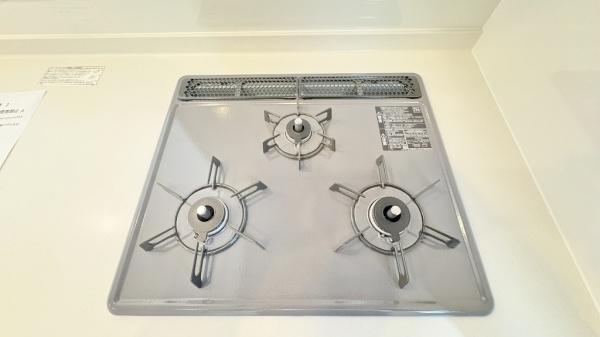 �_�ސ쌧���l�s���J�搣�J2���ڂ̐V�z��ˌ��ẴL�b�`��