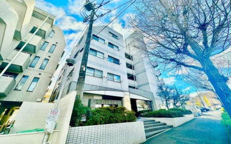 �_�ސ쌧���s�{�O��약��̒��Ã}���V�����̌��n�O�ώʐ^