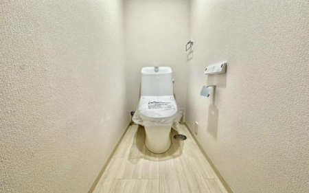 �_�ސ쌧���s�{�O��약��̒��Ã}���V�����̃g�C��