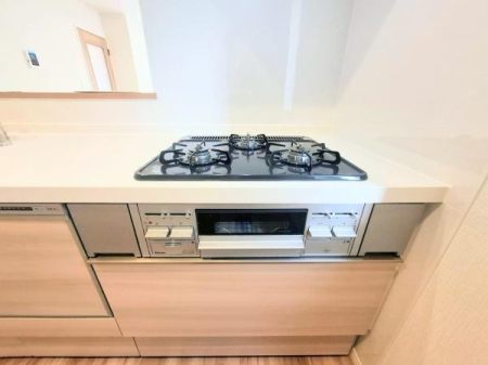 �_�ސ쌧���s�����扤�T����3���ڂ̐V�z��ˌ��ẴL�b�`��