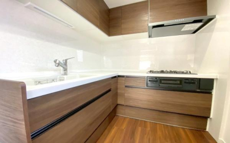 �_�ސ쌧���l�s���a�򒆉��k5���ڂ̒��È�ˌ��ẴL�b�`��