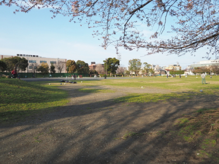 �_�ސ쌧���s����`���̒��Ã}���V�����̎��ӊ�