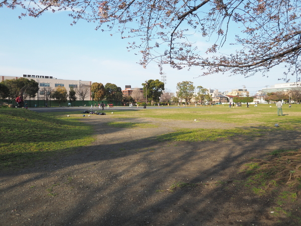 �_�ސ쌧���s����`���̒��Ã}���V�����̎��ӊ�