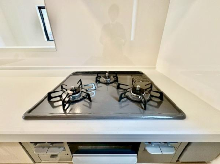 �_�ސ쌧���s�{�O�搼���1���ڂ̐V�z��ˌ��ẴL�b�`��