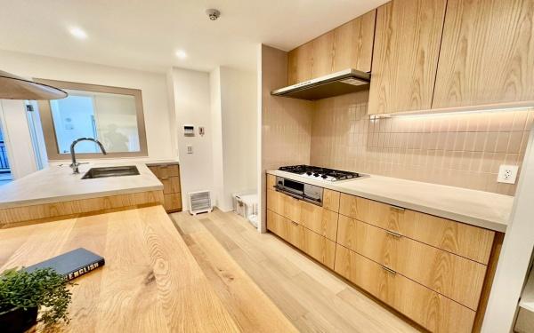 �_�ސ쌧���s���Ë�v�{3���ڂ̒��Ã}���V�����̃L�b�`��