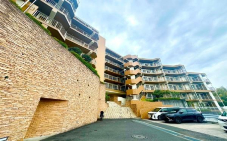 �_�ސ쌧���s���Ë�I�P�J�̒��Ã}���V�����̌��n�O�ώʐ^