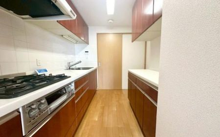 �_�ސ쌧���s���Ë�I�P�J�̒��Ã}���V�����̃L�b�`��