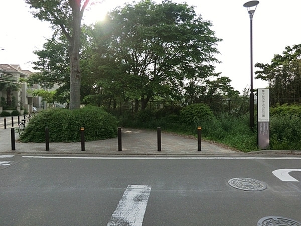 �_�ސ쌧���s���Ë�I�P�J�̒��Ã}���V�����̎��ӊ�