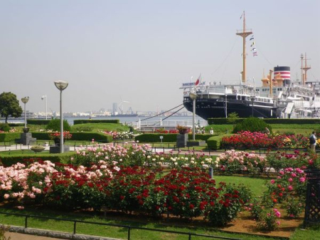 �_�ސ쌧���l�s����R�����̒��Ã}���V�����̎��ӊ�