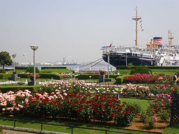 �_�ސ쌧���l�s����R�����̒��Ã}���V�����̎��ӊ�
