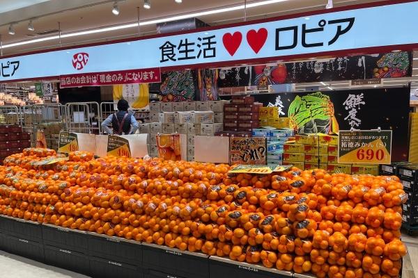�_�ސ쌧���l�s�_�ސ��H���1���ڂ̐V�z��ˌ��Ă̎��ӊ�