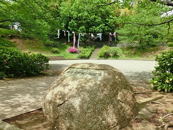�_�ސ쌧���l�s�`�k��j����5���ڂ̒��Ã}���V�����̎��ӊ�