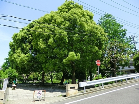 �_�ސ쌧���l�s��q��I��1���ڂ̐V�z��ˌ��Ă̎��ӊ�