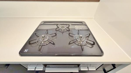 �_�ސ쌧���l�s��扺�a��2���ڂ̐V�z��ˌ��ẴL�b�`��