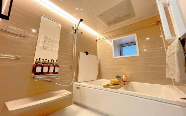 �_�ސ쌧�O�Y�S�t�R���x���̒��Ã}���V�����̗���