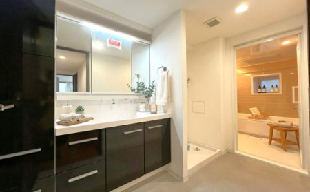 �_�ސ쌧�O�Y�S�t�R���x���̒��Ã}���V�����̐��ʑ�E���ʏ�