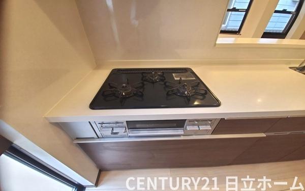 �_�ސ쌧���l�s����{�q�O�V�J�̒��È�ˌ��ẴL�b�`��