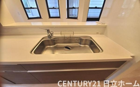 �_�ސ쌧���l�s����{�q�O�V�J�̒��È�ˌ��ẴL�b�`��