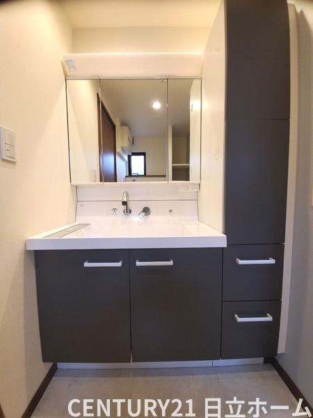 �_�ސ쌧���l�s����{�q�O�V�J�̒��È�ˌ��Ă̐��ʑ�E���ʏ�