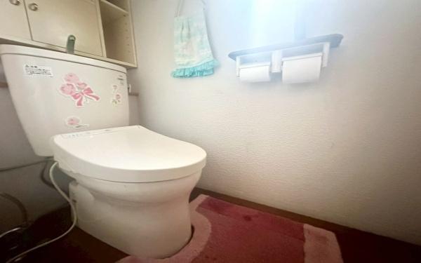 �_�ސ쌧���l�s�`�k�捂�c��5���ڂ̒��È�ˌ��Ẵg�C��