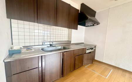 �_�ސ쌧���l�s�`�k�捂�c��5���ڂ̒��È�ˌ��ẴL�b�`��